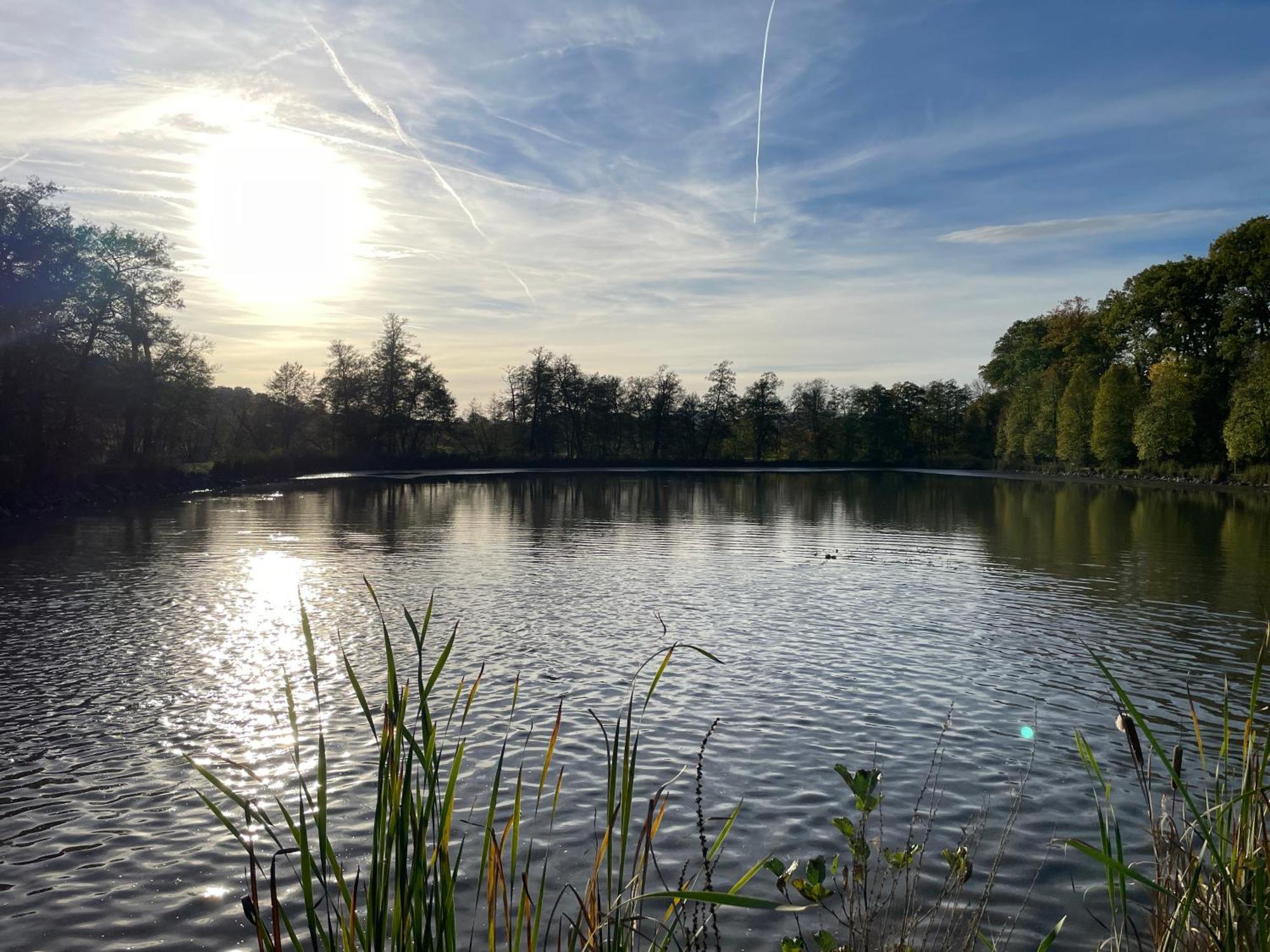 Naturnahe Unterkunft In Der Burgenstadt Schlitz Εξωτερικό φωτογραφία